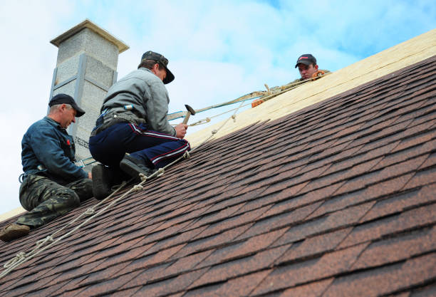 Best Storm Damage Roof Repair  in Kimberly, AL